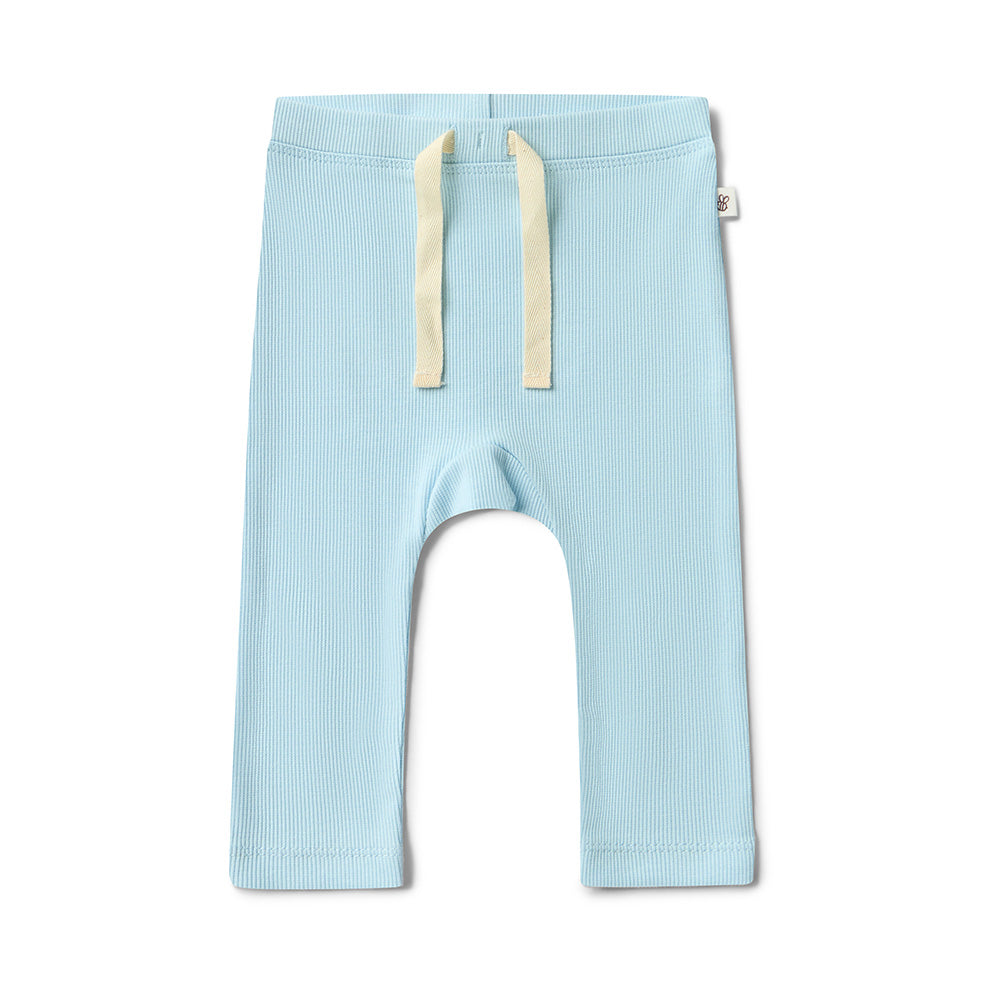 Baby Blue Leggings