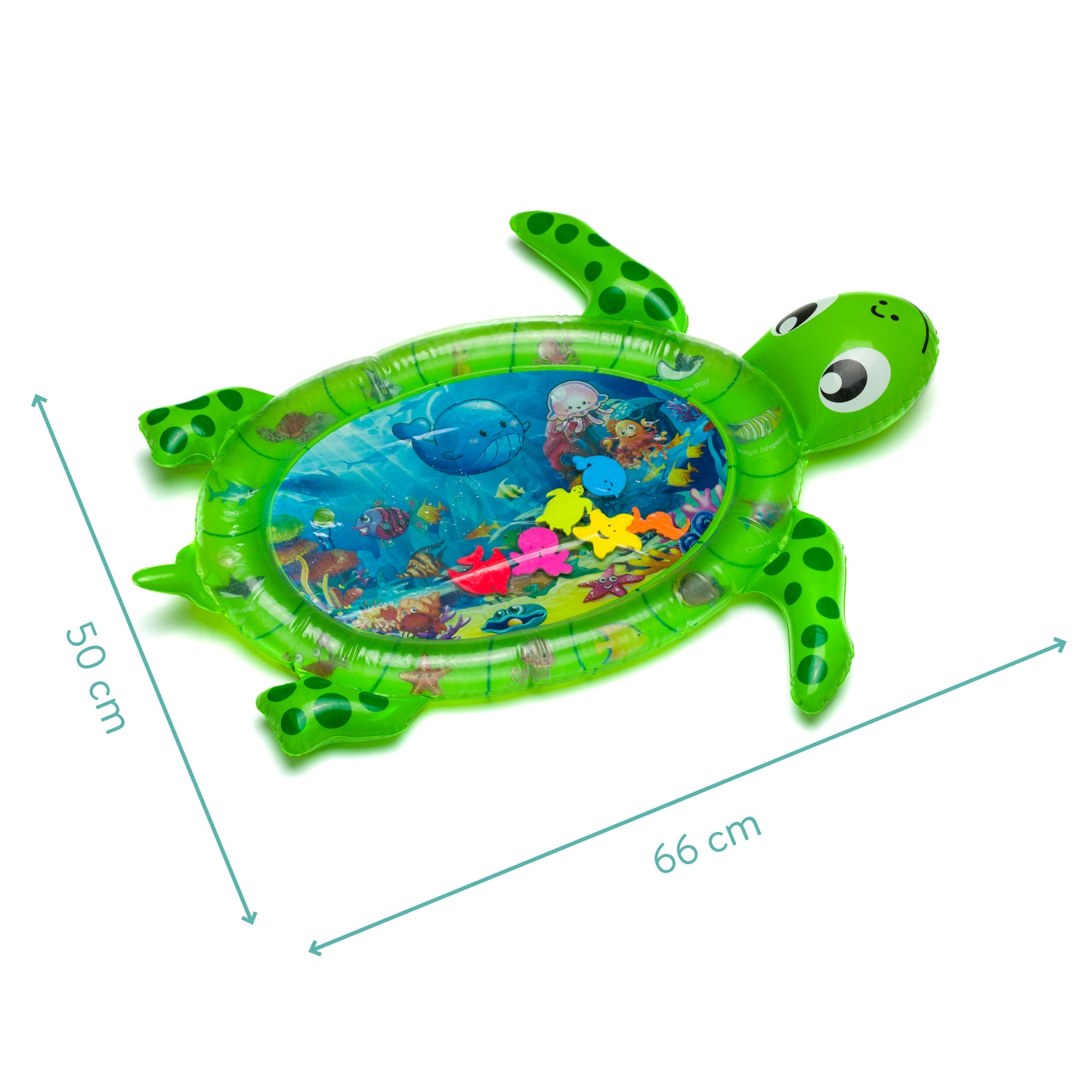 Skjaldbøku vatnmátta