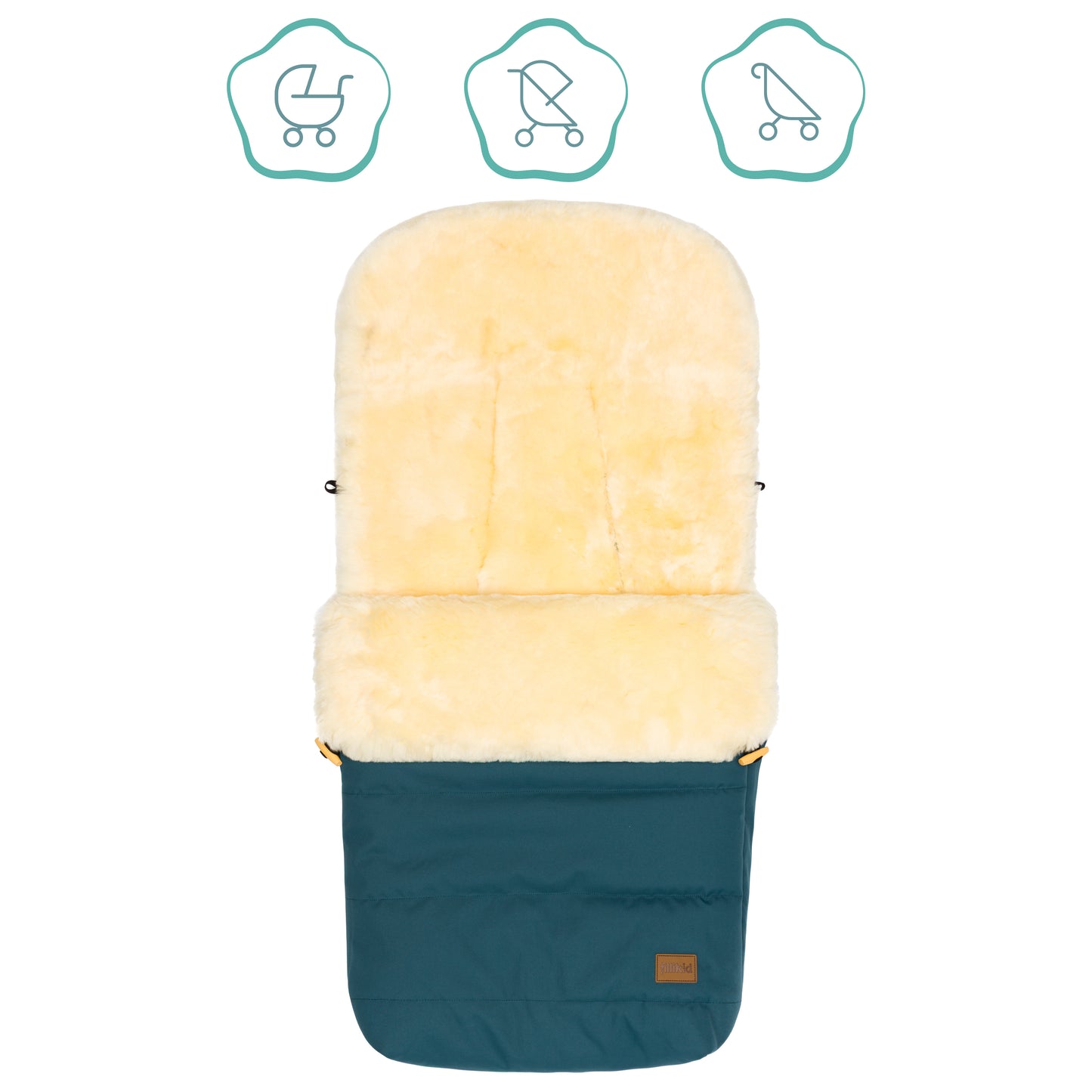 Bernina vognposi petroleum