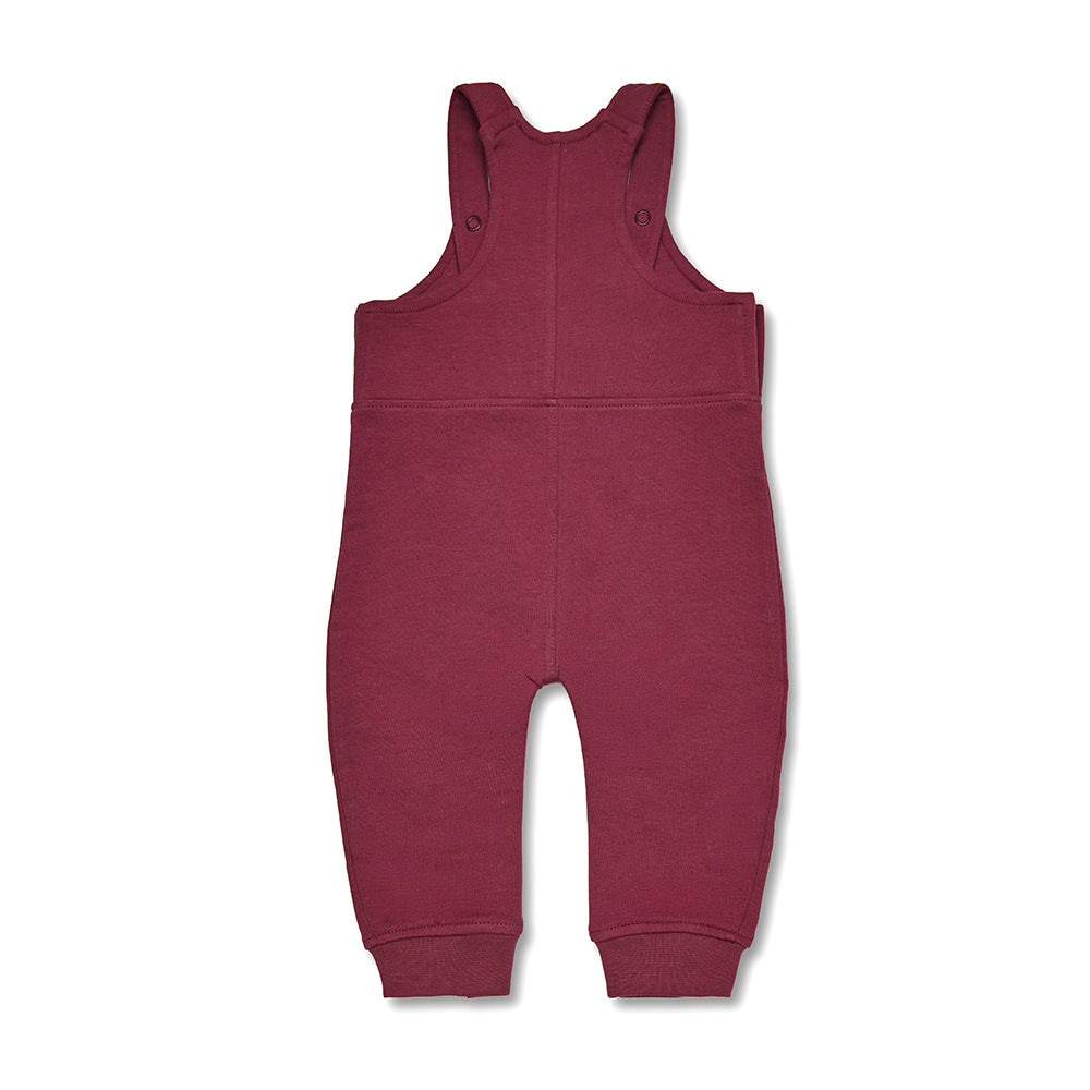 Smekkubuksir Raspberry