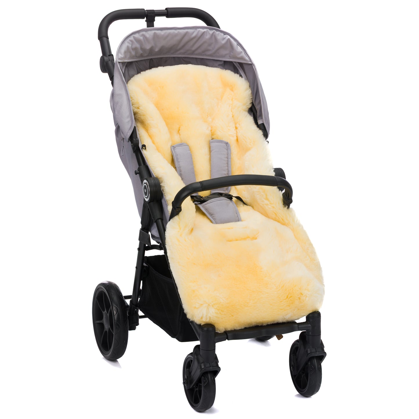 Bernina vognposi rosa