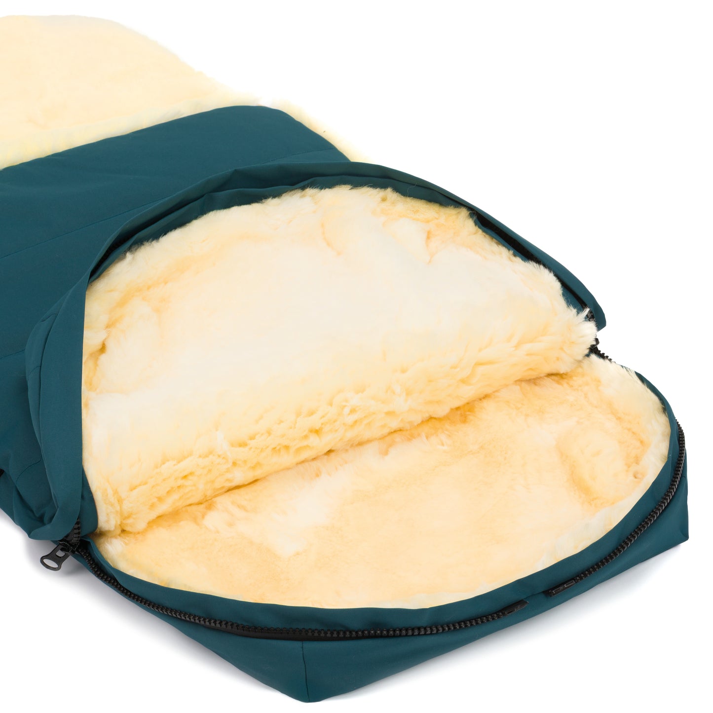 Bernina vognposi petroleum