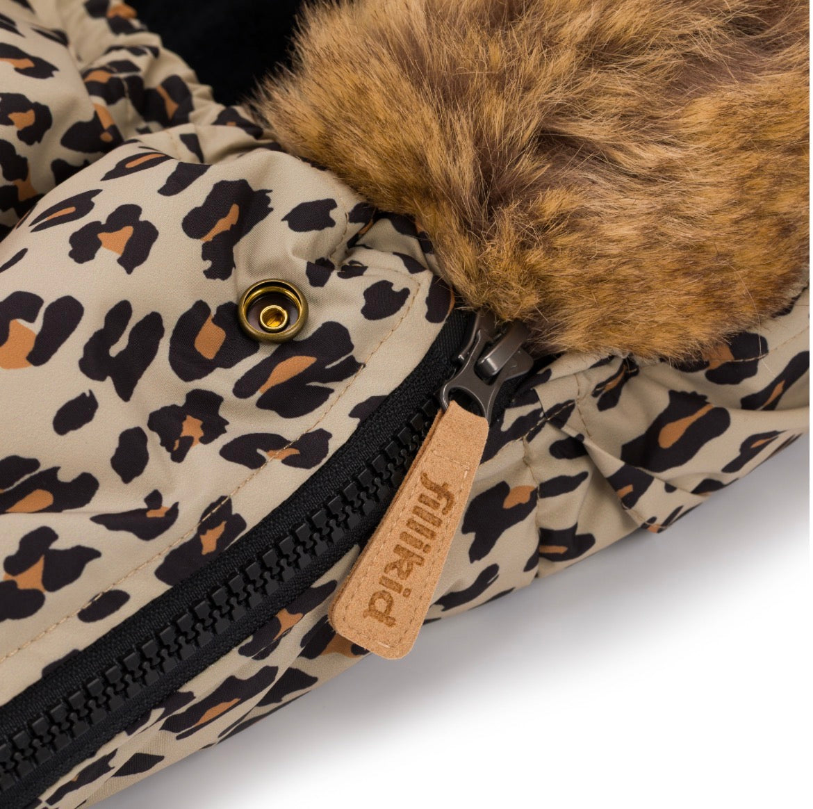 Manaslu Leopard