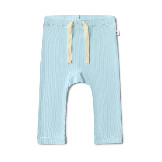 Baby Blue Leggings