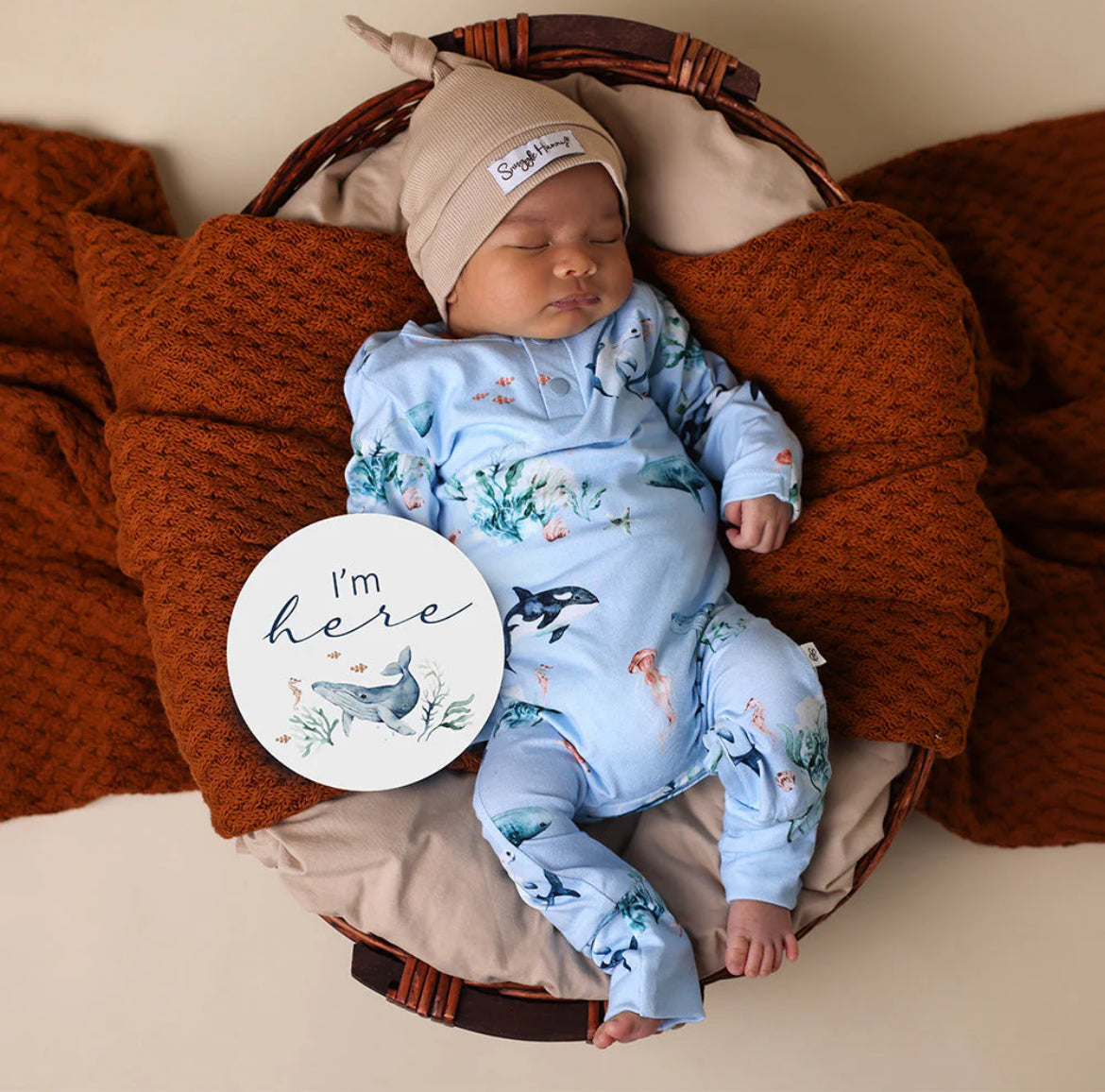 Blue Ocean Sparkidrakt