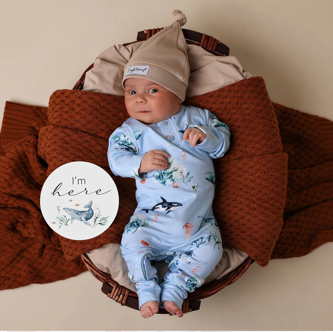 Blue Ocean Sparkidrakt