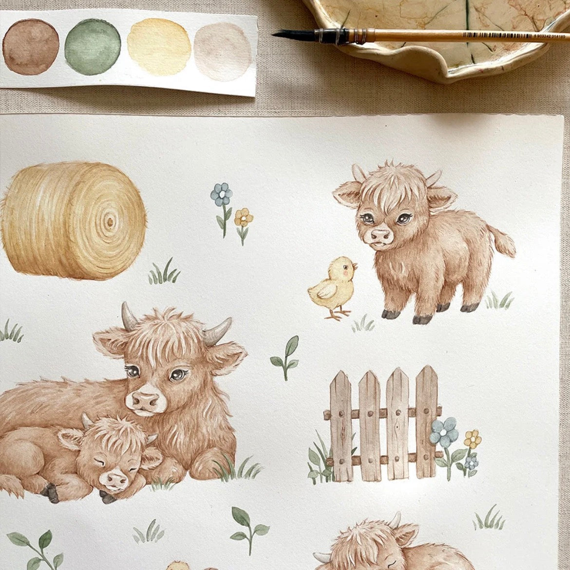 Highland Cows Sparkidrakt