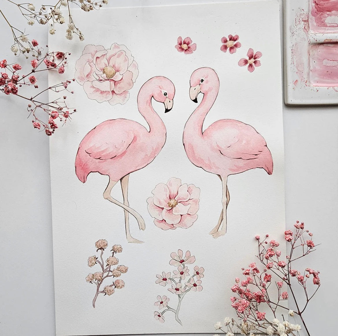 Flamingos Sparkidrakt